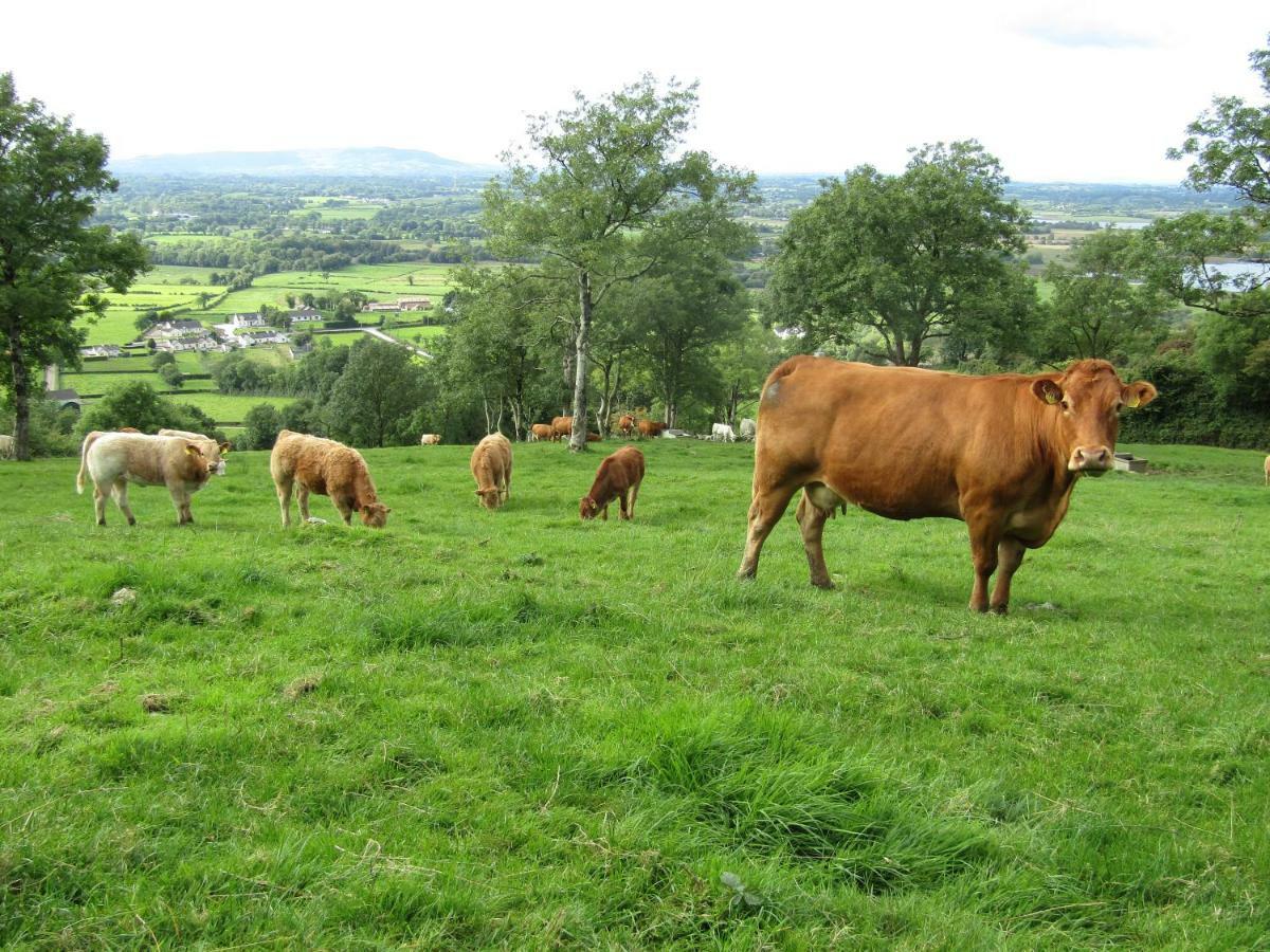 Knockninny Barn At Upper Lough Erne, County Fermanagh Enniskillen Exteriör bild